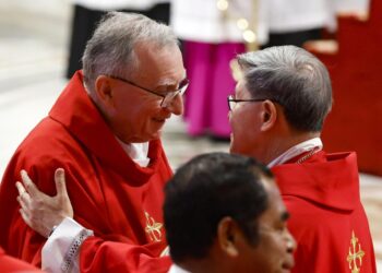 Acusan a Parolin y Tagle de inacción ante abusos