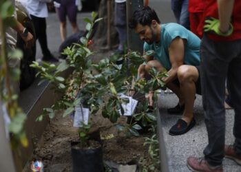 ONG reforestan CDMX contra el calentamiento global