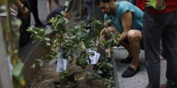 ONG reforestan CDMX contra el calentamiento global