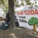 Upaep pide a la ciudadanía aumentar el arbolado urbano para mejorar calidad del aire