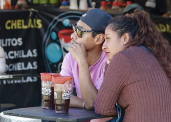 PAN propició proliferación de negocios ilegales de micheladas
