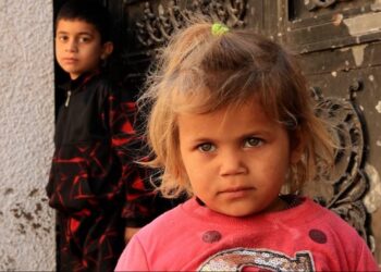 29 niños y ancianos han muerto de hambre en 2 últimos días en Gaza