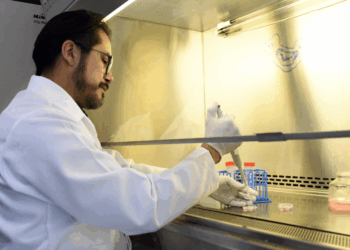 Instituto de Fisiología reside uno de los pocos grupos del país que estudia la relación estructura-función en las células cardiacas