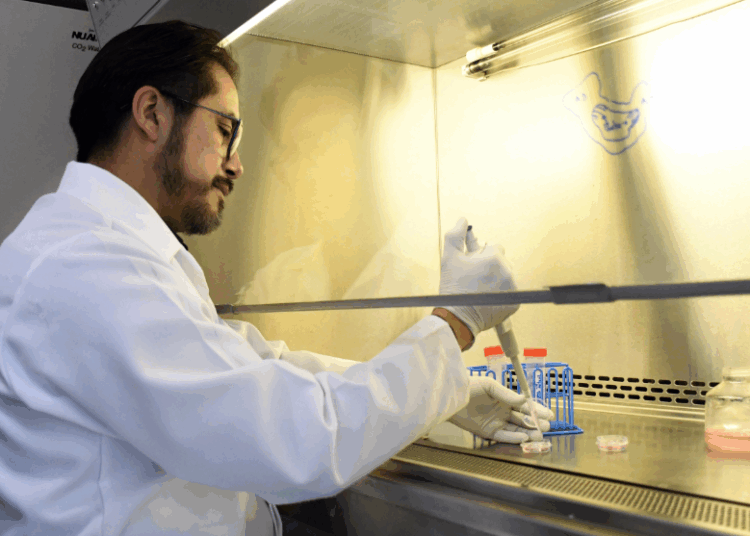 Instituto de Fisiología reside uno de los pocos grupos del país que estudia la relación estructura-función en las células cardiacas