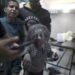 Israel viola en Gaza los principios fundamentales de la humanidad: ONU