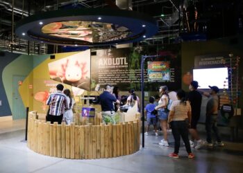 Acuario Michin festeja a los profesores