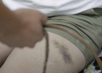 Proponen al Congreso transformar a la Udaim en la ‘Guardia Violeta’