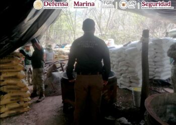 Autoridades federales aseguraron un área de concentración para la fabricación de drogas en Michoacán