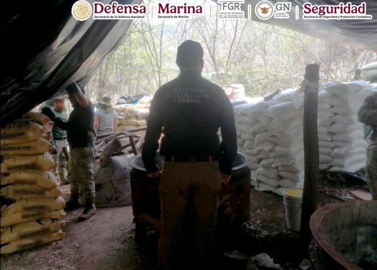 Autoridades federales aseguraron un área de concentración para la fabricación de drogas en Michoacán