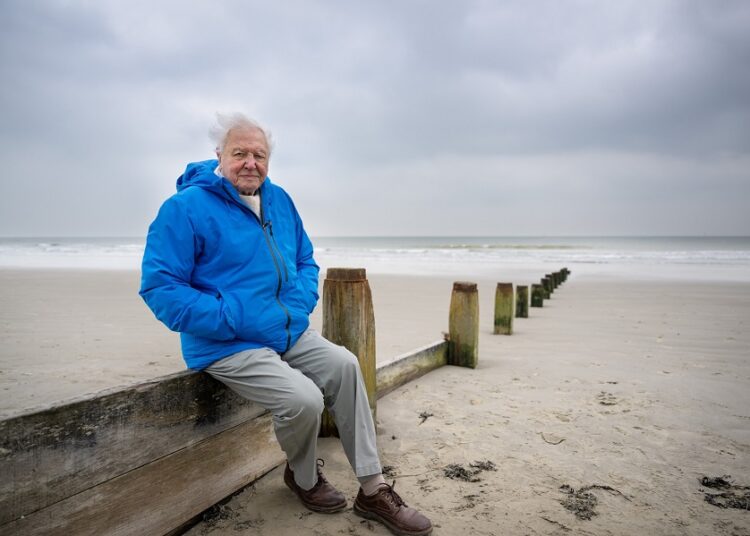 David Attenborough presenta documental sobre salud de los océanos