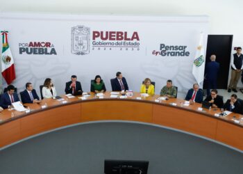 Ley Anti Milpa, proceso de regulación: Alejandro Armenta