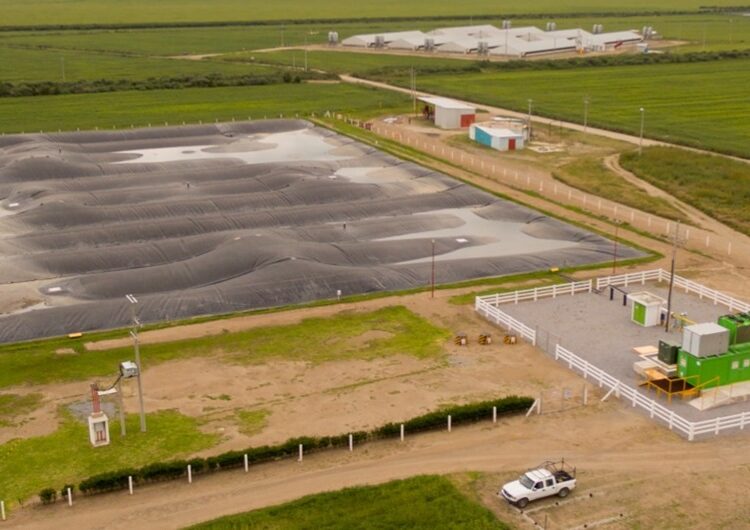 Altosano Granjas Carroll fortalece su compromiso con sustentabilidad al reducir su huella de carbono