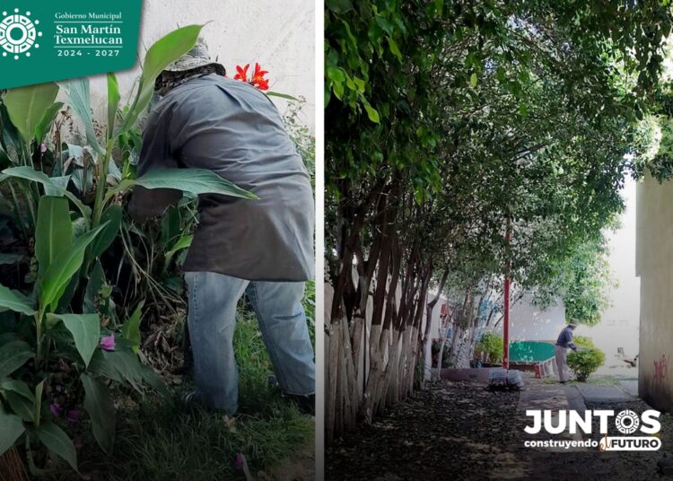 Ayuntamiento trabaja en mejorar espacios públicos y áreas verdes en Texmelucan