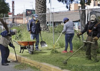 Ayuntamiento ha invertido más de 30 mdp en mantenimiento de camellones, parques y jardines