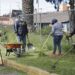 Ayuntamiento ha invertido más de 30 mdp en mantenimiento de camellones, parques y jardines