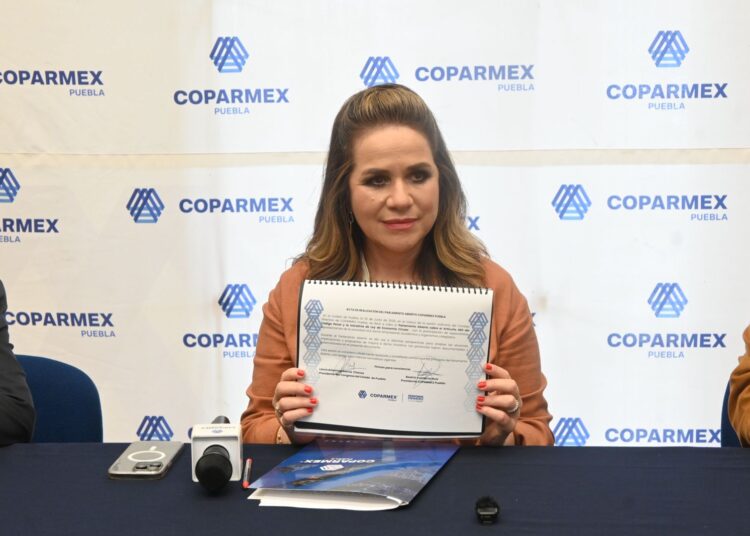 Enriquecen propuesta de Ley vs ciberacoso