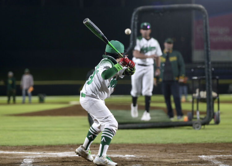 Periquitos son convocados al Juego de Futuras Estrellas LMB