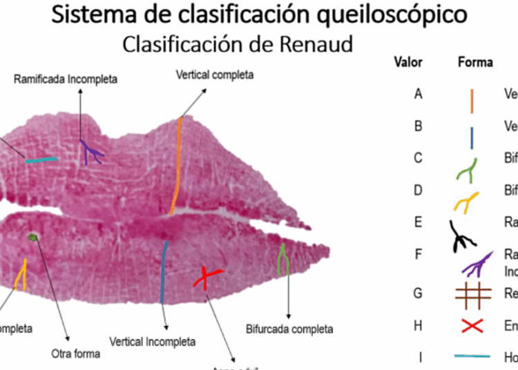 La cavidad oral aporta rasgos característicos para identificar a las personas