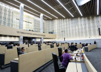 Congreso aclarará redacción de tipificación de ciberasedio