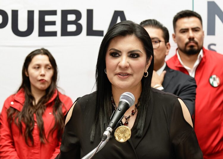 Designación de Concejos Municipales violan el proceso legislativo