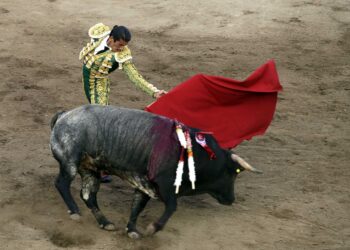 Prohibición de las corridas de toros y las peleas de gallos se debe dictaminar, Puebla no puede quedarse rezagada