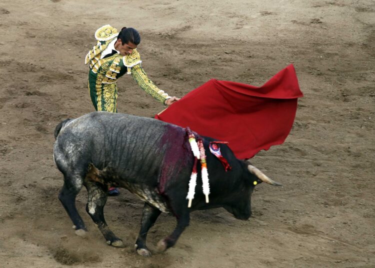 Prohibición de las corridas de toros y las peleas de gallos se debe dictaminar, Puebla no puede quedarse rezagada