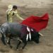 Prohibición de las corridas de toros y las peleas de gallos se debe dictaminar, Puebla no puede quedarse rezagada