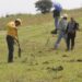 Invertirán 14 mdp en programas de reforestación