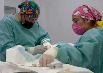 Issstep ofrece campañas de OTB y vasectomía sin bisturí para sus derechohabientes