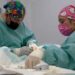 Issstep ofrece campañas de OTB y vasectomía sin bisturí para sus derechohabientes