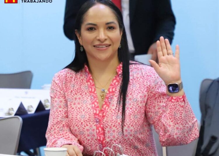 Reforma fortalece combate a recursos ilícitos y garantiza estabilidad financiera: Liz Sánchez
