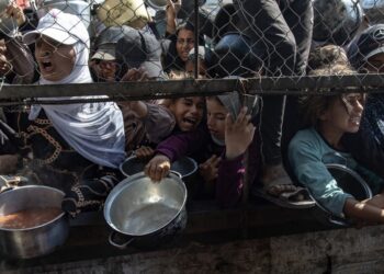‘Es inaceptable que los palestinos se jueguen la vida por la comida’: ONU