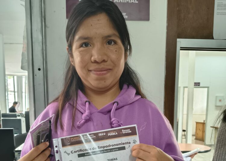 En Puebla el padrón de perros y gatos es voluntario