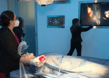 Panchita y Mau, simuladores de avanzada para la enseñanza médica