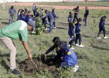 Ayuntamiento tiene la meta de sembrar 80 mil árboles para noviembre
