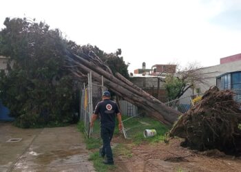 Lluvias dejan afectaciones en conjunto habitacional Arcoíris de San Pedro Cholula