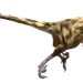 En los Pirineos había una gran diversidad de dinosaurios carnívoros: estudio