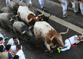 Sexto encierro de sanfermines; carrera rápida y cinco heridos