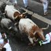 Sexto encierro de sanfermines; carrera rápida y cinco heridos