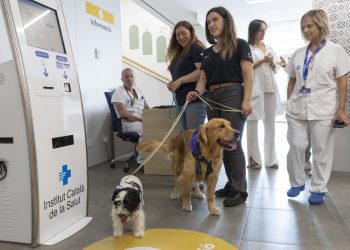 Terapeutas de cuatro patas en España