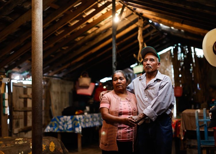 Iluminan comunidades rurales con paneles solares en beneficio de 112 familias