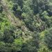 Deslizamiento de tierra en Chiconcuautla deja una persona fallecida
