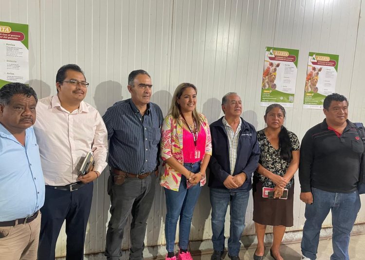 Refuerza Gobierno de la Ciudad acciones para prevenir la propagación del gusano barrenador