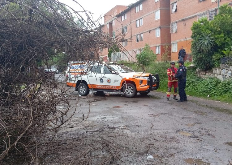 Coordinación interinstitucional y monitoreo puntual del Gobierno de la Ciudad refuerzan la prevención ante lluvias