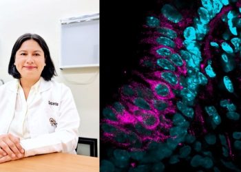 Docente Anáhuac, única mexicana seleccionada en Pinacoteca de la Ciencia