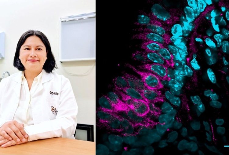 Docente Anáhuac, única mexicana seleccionada en Pinacoteca de la Ciencia