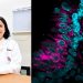 Docente Anáhuac, única mexicana seleccionada en Pinacoteca de la Ciencia