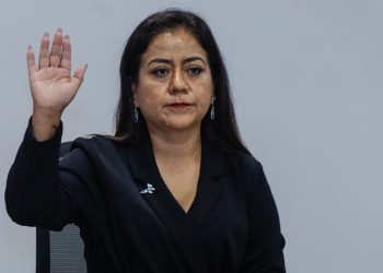 Legitimidad de la renovación de los CDM del PAN, en riesgo