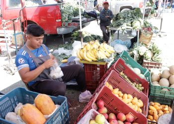 Actividad económica de Puebla cae en primer trimestre