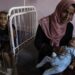 Advierten sobre creciente propagación de casos de meningitis entre los niños de Gaza
